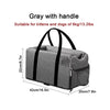 Gray Whith Handle